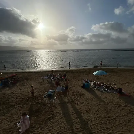 Sardine Las Palmas de Gran Canaria